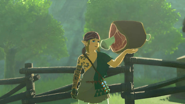 Zelda: Tears of the Kingdom | Where to Find the Best Ingredients