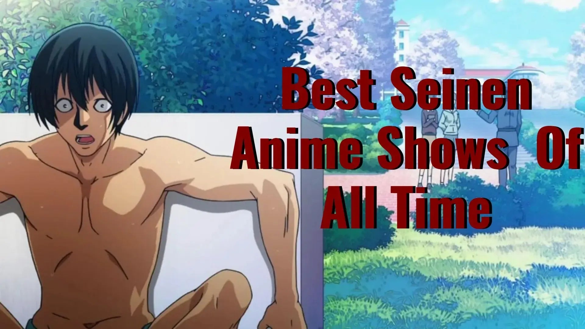 Seinen Anime | 20 Best Seinen Anime & Manga | Dark, Edgy Goodness — Poggers