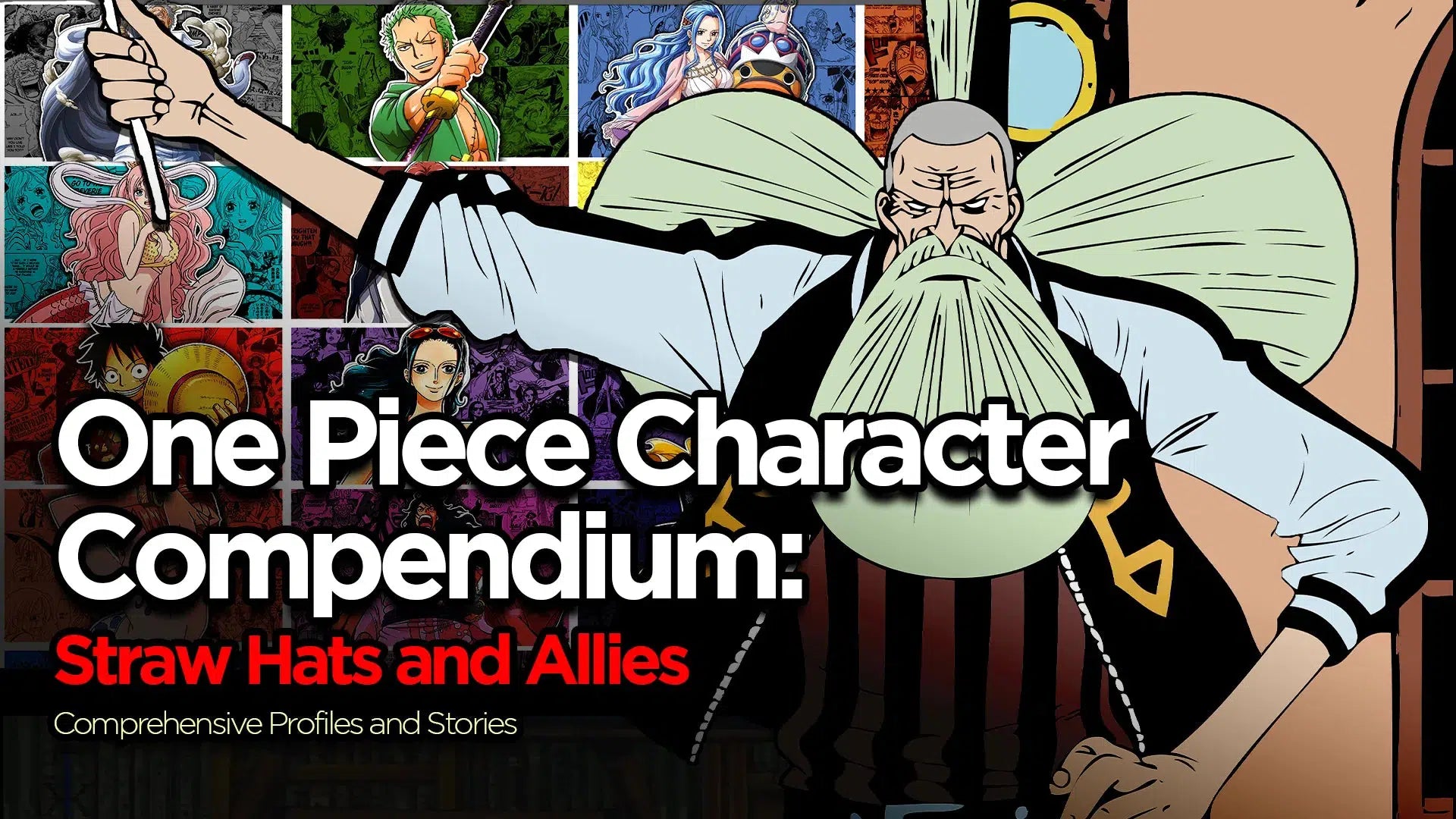 One Piece | List of Characters | Straw Hat Pirates and Allies