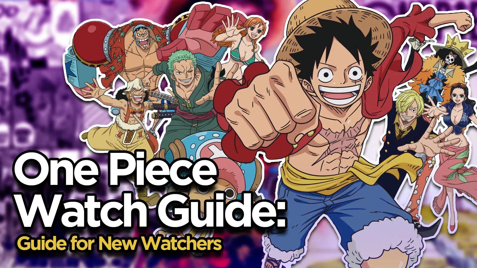 One Piece Guide for New Watchers