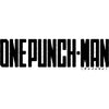 One Punch Man