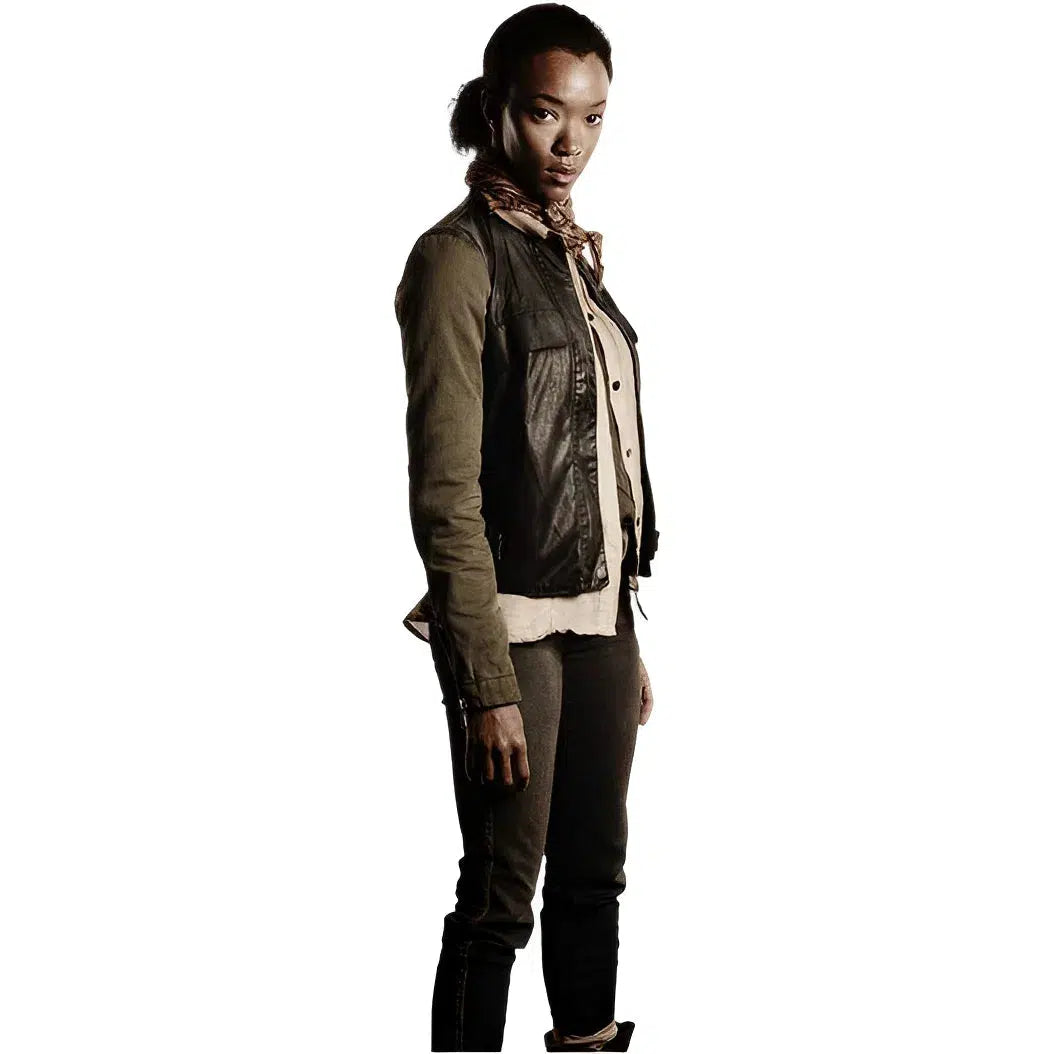 The Walking Dead (TV) Sasha Figures & Statues