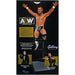 AEW All Elite Wrestling - Bryan Danielson PVC Statue (14.25") - Diamond Select Toys - AEW Gallery Series