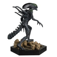 Alien vs. Predator - Xenomorph Grid Figure - Eaglemoss - Hero Collector- Image 4