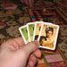 Augsburg 1520 - Economic Strategy Board Game for Adults (2-5 Players, Ages 12+) - Rio Grande Games