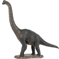 Brachiosaurus Dinosaur Figure Model Kit (Steel, Moderate Difficulty) - Fascin...- Image 5