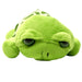 Burt the Turtle Plush (7") - Wonderland Workshop