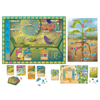 Cellulose: A Plant Cell Biology Game - Board Game - Genius Games- Image 3