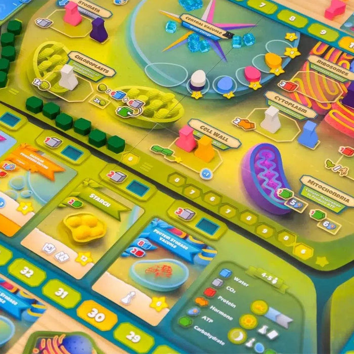 Biocell Game Cellulose: A Plant Cell Biology Game - Board Game - Genius Games — Poggers