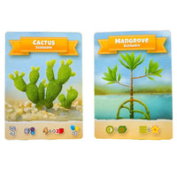 Cellulose: A Plant Cell Biology Game - Board Game - Genius Games- Image 7