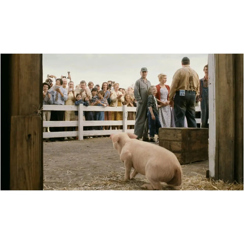 Charlotte’s Web | Live Action & Animated Movie | DVD | 2-Movie Collection