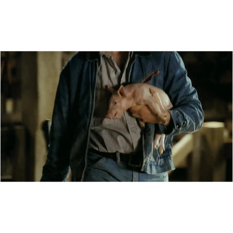 Charlotte’s Web | Live Action & Animated Movie | DVD | 2-Movie Collection