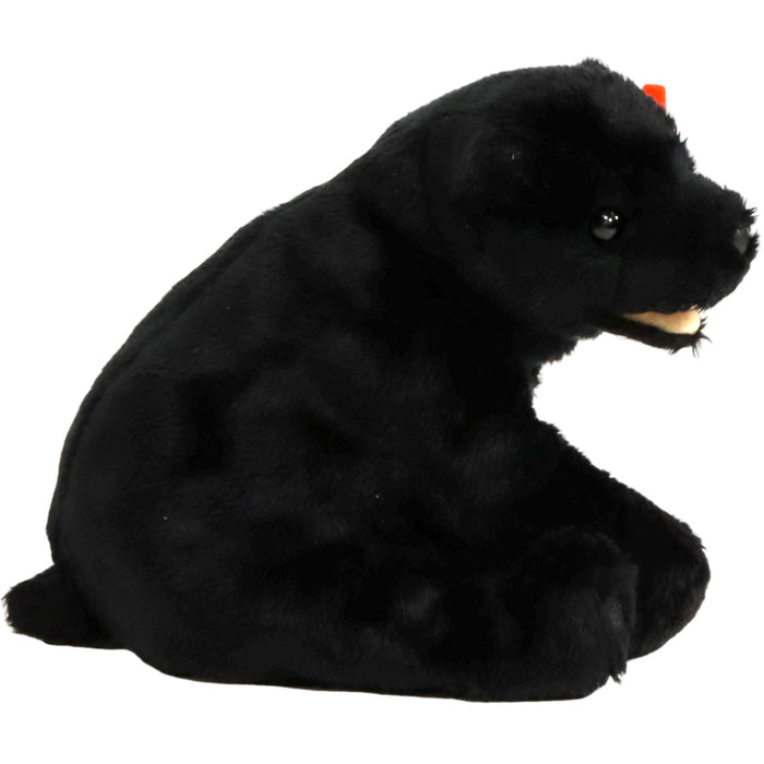 Cinders the Black Bear Plush (5") - Ty - Original Beanie Babies Series - (2000)