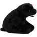 Cinders the Black Bear Plush (5") - Ty - Original Beanie Babies Series - (2000)