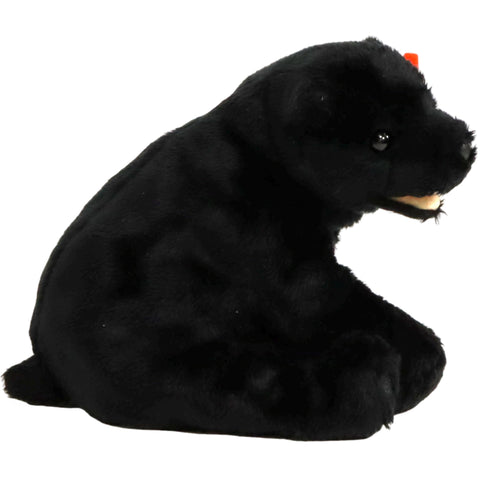 Cinders the Black Bear Plush (5