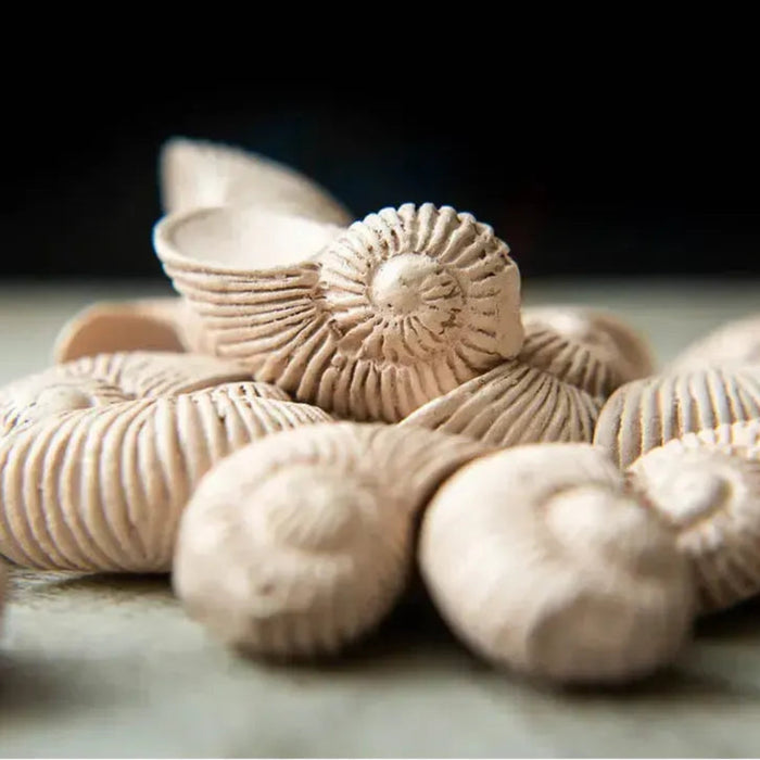 Deep Vents - Tile Placement Nature Board Game for Family and Adults (2-4 Players, Age 13+) - Red Raven Games