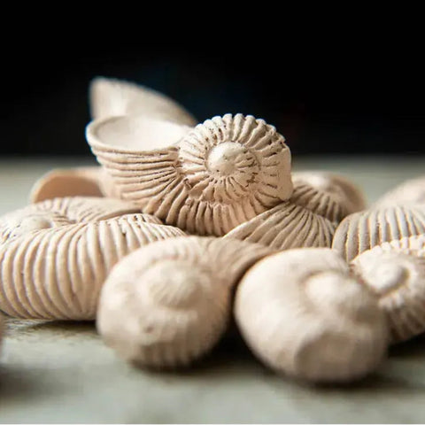 Deep Vents - Tile Placement Nature Board Game for Family and Adults (2-4 Players, Age 13+) - Red Raven Games