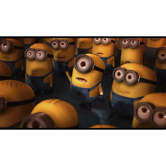 Despicable Me and Despicable Me 2 | Animated Movies | DVD | 2-Movie Collection