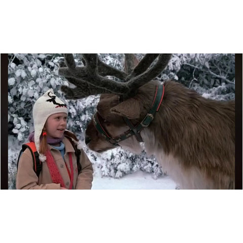 Disney’s The Santa Clause 2 | Live-Action Movie | DVD | Widescreen Edition