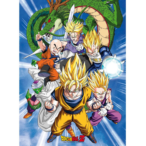 Dragon Ball Z - Fight for Survival Z-Fighters Boxed Poster Set (20.5