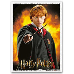 harry potter card sleeves Dragon Shield Standard Size Matte Art 100 Count five years of magic and the most breathtaking Harry Potter trading cards ever created The Best Harry Potter Card