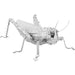 Grasshoppers Figure Model Kit (Steel, Moderate Difficulty) - Fascinations - Metal Earth Series