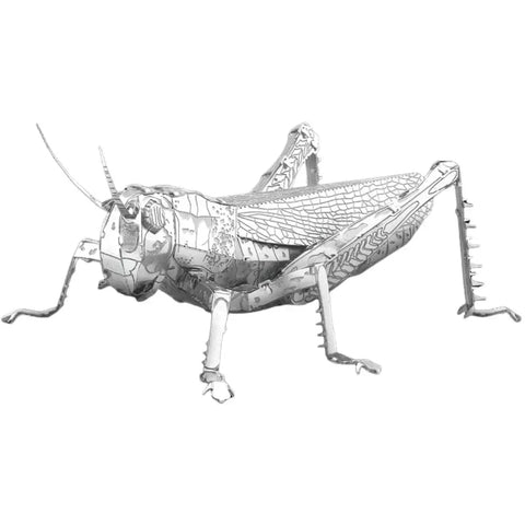 Grasshoppers Figure Model Kit (Steel, Moderate Difficulty) - Fascinations - Metal Earth Series