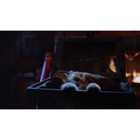 Gremlins | Movie | DVD- Image 6