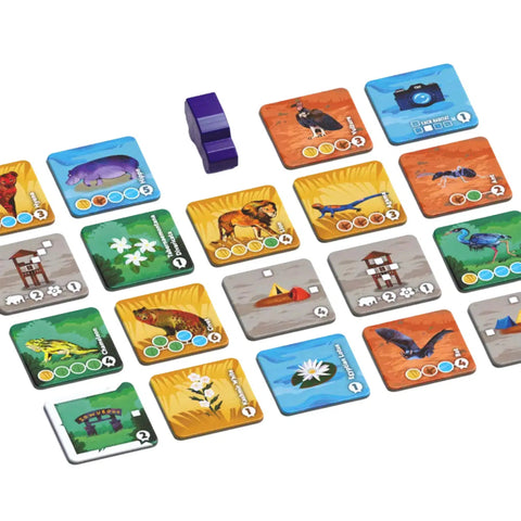 Habitats - Tile Placement Wildlife Board Game for Family, and Adults (1-5 Players, Ages 11+) - Allplay