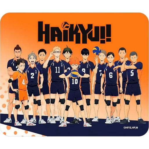 Haikyu!! - Karasuno High Team Lineup Mousepad (9.25"x7.75") - ABYstyle