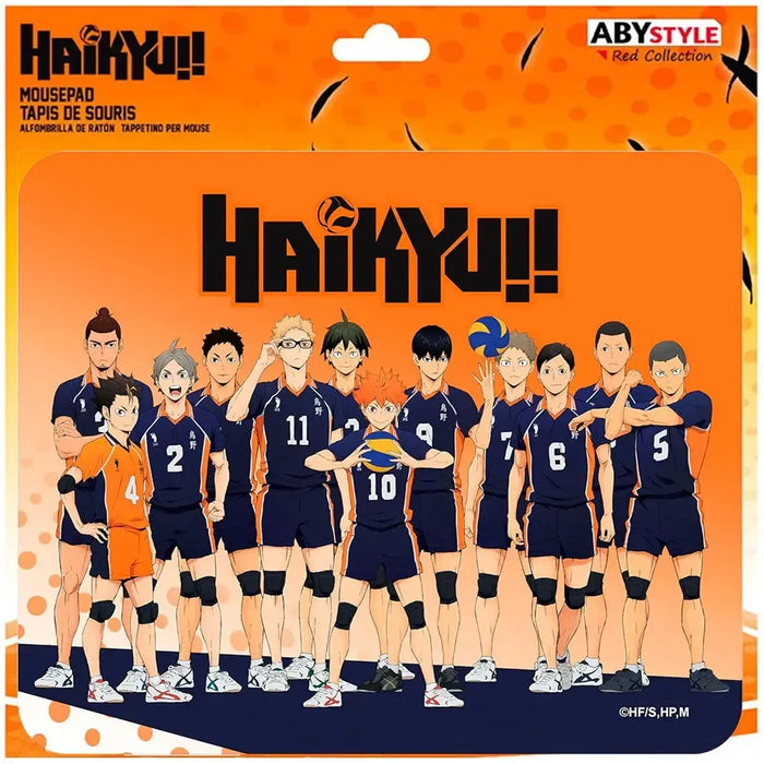 Haikyu!! - Karasuno High Team Lineup Mousepad (9.25"x7.75") - ABYstyle