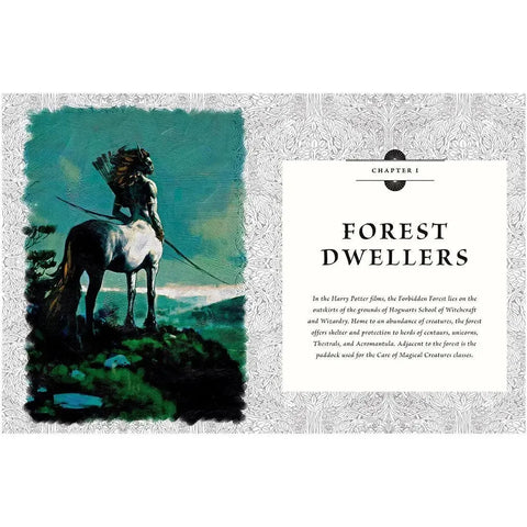 Harry Potter: Film Vault - The Complete Book Series Boxed Set (Special Edition) - Insight Editions