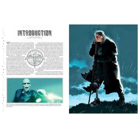 Harry Potter: Film Vault - The Complete Book Series Boxed Set (Special Edition) - Insight Editions