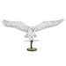 Harry Potter - Hedwig Figure Model Kit (Steel, Challenging Difficulty) - Fascinations - Metal Earth Premium Series