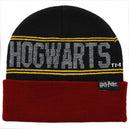 Harry Potter - Hogwarts Crest Beanie Hat and Scarf Combo - Bioworld
