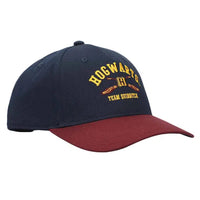 Harry Potter - Hogwarts Team Quidditch Hat (Embroidered) - Bioworld