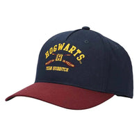 Harry Potter - Hogwarts Team Quidditch Hat (Embroidered) - Bioworld