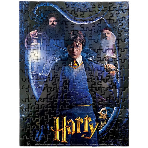 Harry Potter - Movie Character Poster Mini Jigsaw Puzzle Set (180 Pieces Each) - Paper House Productions - Harry, Draco, Ron, Hermione