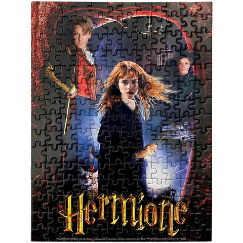 Harry Potter - Movie Character Poster Mini Jigsaw Puzzle Set (180 Pieces Each) - Paper House Productions - Harry, Draco, Ron, Hermione