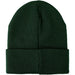 Harry Potter - Slytherin Serpent Green Cuffed Knitted Beanie Hat - Bioworld