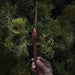 Harry Potter [Wizarding World] - Bellatrix Lestrange Wand Pen with Stand & Lenticular Bookmark - Cinereplicas