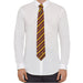 Harry Potter [Wizarding World] - Gryffindor Necktie & Pin Deluxe Set - Cinereplicas - (2021)