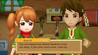 Harvest Moon: Light of Hope (Special Edition) - Nintendo Switch- Image 5
