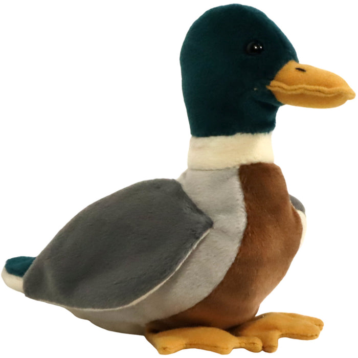 Jake the Mallard Duck Plush (7.5") - Ty - Original Beanie Babies Series - (1998)