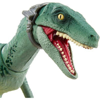Jurassic World - 6" Velociraptor Delta Figure - Mattel - Amber Collection- Image 4