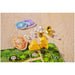 Karuba - Tile Placement Adventure Board Game for Family, Adults, and Children (2-4 Players, Ages 8+) - HABA