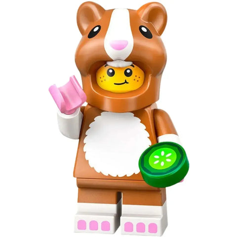 LEGO [Collectable Minifigures] - Minifigures Blind Bag - Series 27 (71048)
