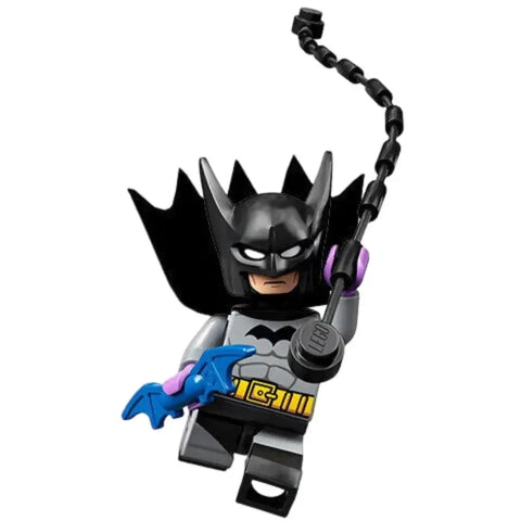 LEGO [Collectible Minifigures] - Minifigure Blind Bag - DC Super Heroes Series (71026)