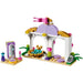 LEGO [Disney] - Daisy's Beauty Salon Building Set - Palace Pets Series (41140)