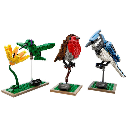 LEGO [Ideas] - Birds Building Set (21301)